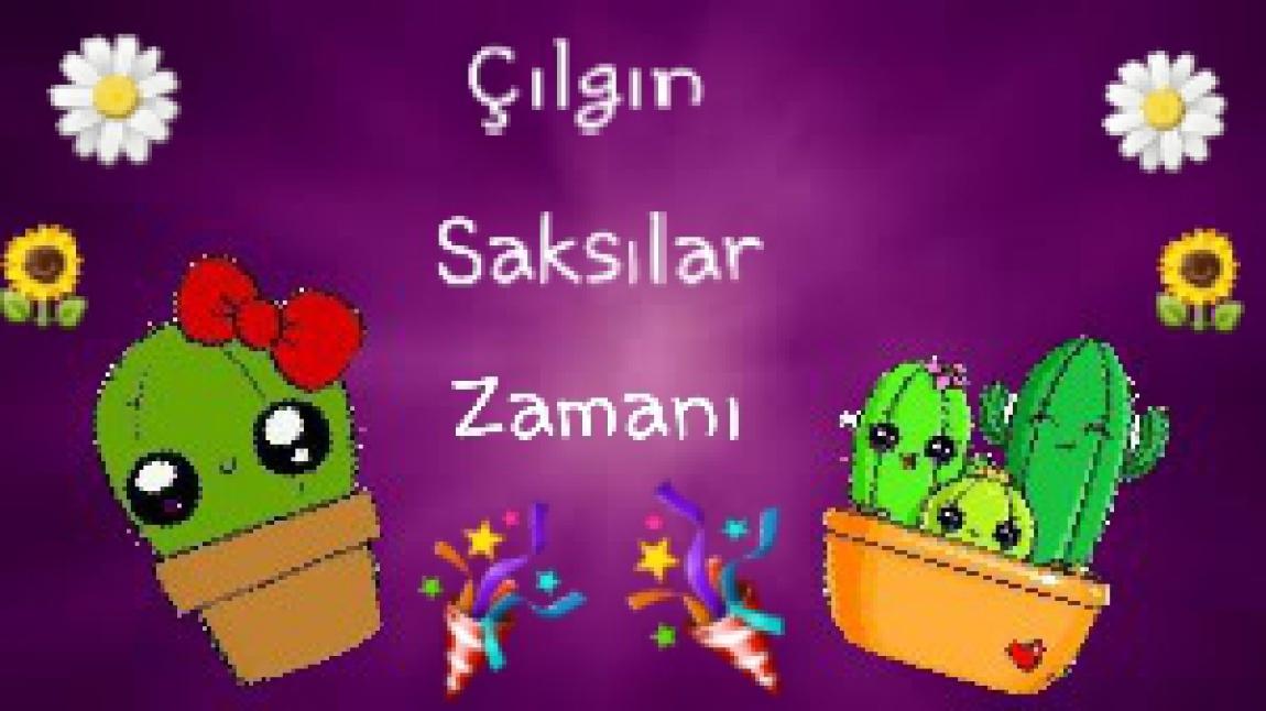 Çılgın Saksılar Zamanı